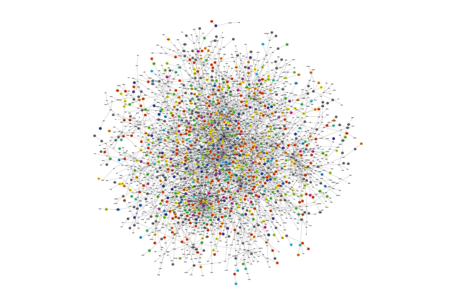 Complex Networks at Statphys29