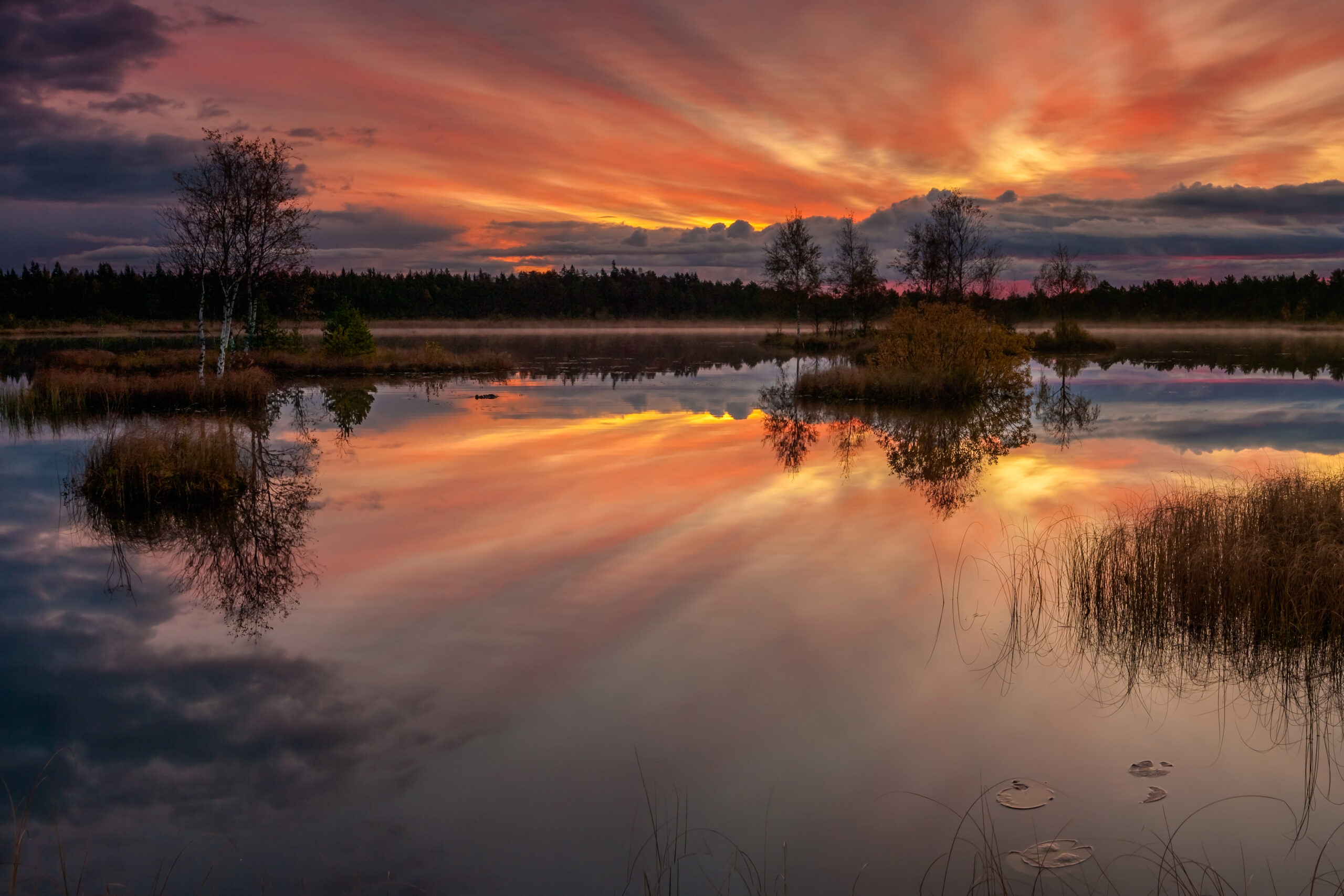 Transcendence in the Small Gestures of Life